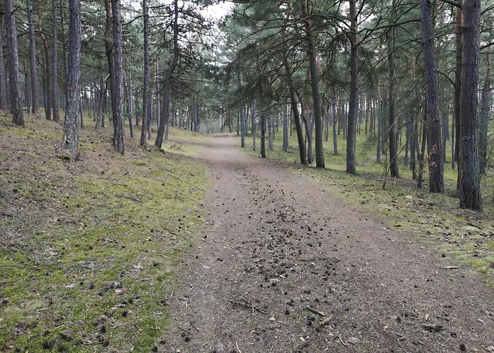 Słoneczne Tarasy Ii - Gdańsk